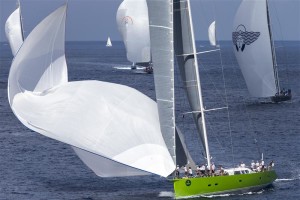 INOUI-SPINNAKER1